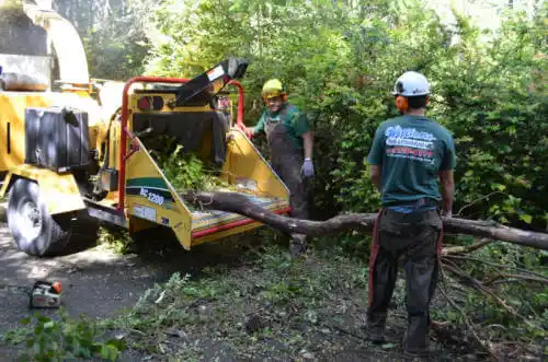 tree services Fort Jones